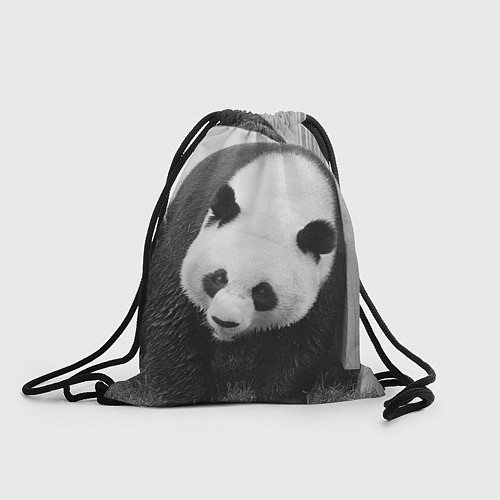 Мешок для обуви Большая панда / 3D-принт – фото 1