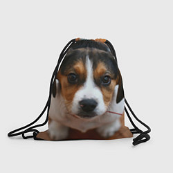 Рюкзак-мешок Глазастый щенок, цвет: 3D-принт