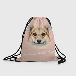 Мешок для обуви Pembroke welsh Corgi