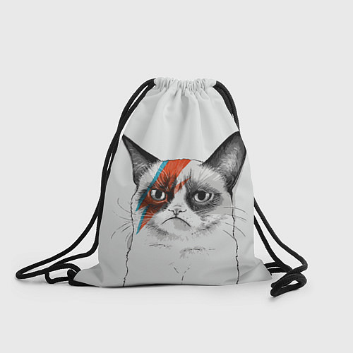 Мешок для обуви David Bowie: Grumpy cat / 3D-принт – фото 1