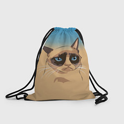 Мешок для обуви Grumpy cat