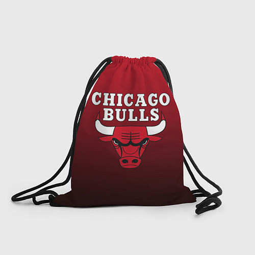 Мешок для обуви CHICAGO BULLS / 3D-принт – фото 1