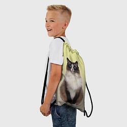 Рюкзак-мешок Персидская пушистая кошка, цвет: 3D-принт — фото 2