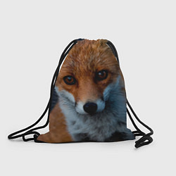 Рюкзак-мешок Мудрая лиса, цвет: 3D-принт