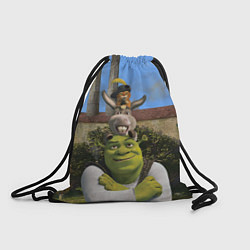 Рюкзак-мешок Шрек, Кот и Осёл, цвет: 3D-принт