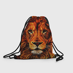 Мешок для обуви LION