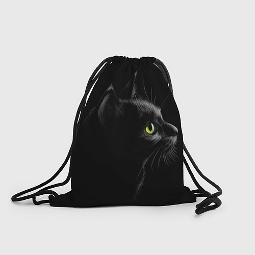 Мешок для обуви Черный кот / 3D-принт – фото 1