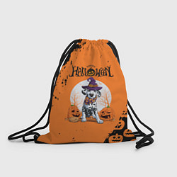 Рюкзак-мешок Далматинец в шляпе, цвет: 3D-принт