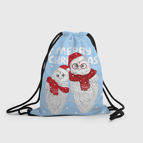 Мешок для обуви С Рождеством! Совы / 3D-принт – фото 1