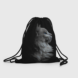 Рюкзак-мешок Кошатникам, цвет: 3D-принт