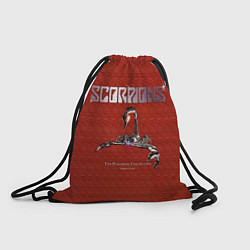 Рюкзак-мешок The Platinum Collection - Scorpions, цвет: 3D-принт