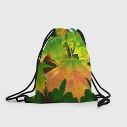 Рюкзак-мешок Кленовый-лист, цвет: 3D-принт