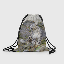 Рюкзак-мешок Снежный барс среди скал, цвет: 3D-принт