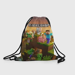 Рюкзак-мешок Александр Minecraft, цвет: 3D-принт