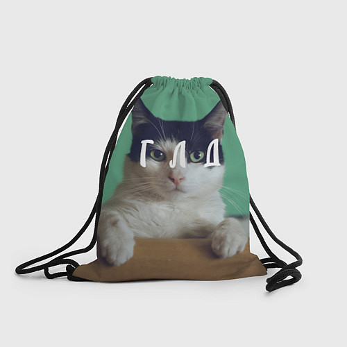 Мешок для обуви Мем с котом - голод / 3D-принт – фото 1