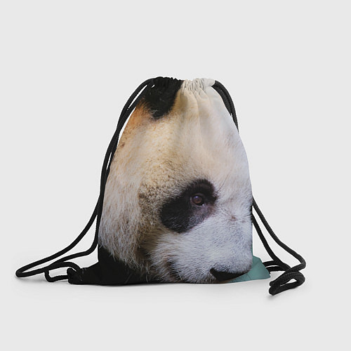 Мешок для обуви Загадочная панда / 3D-принт – фото 1