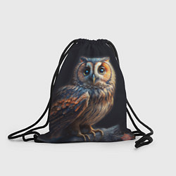 Рюкзак-мешок Сова на ветке, портрет, цвет: 3D-принт