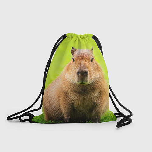 Мешок для обуви Capybara on green grass / 3D-принт – фото 1