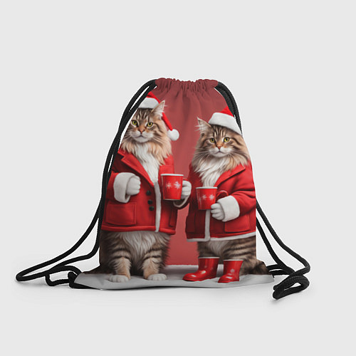 Мешок для обуви С новым котом - два кота в костюмах Санты / 3D-принт – фото 1