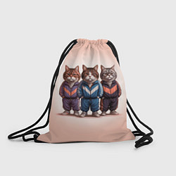 Мешок для обуви Три полосатых кота в спортивных костюмах пацана