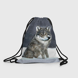 Рюкзак-мешок Волк ауфф с кривым носом, цвет: 3D-принт