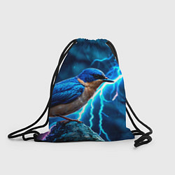 Мешок для обуви Ласточка в грозу