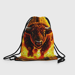 Мешок для обуви Буйвол в огне
