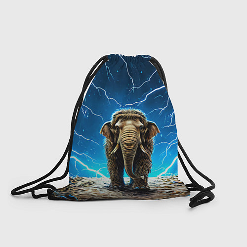 Мешок для обуви Мамонт и разряды молний / 3D-принт – фото 1