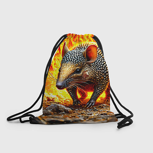 Мешок для обуви Броненосец в огне / 3D-принт – фото 1