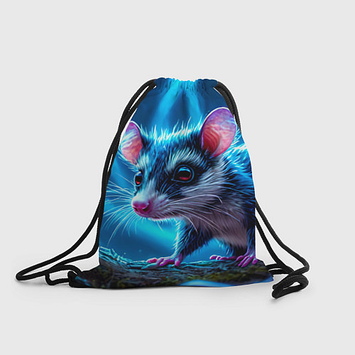 Мешок для обуви Опоссум в синей туманности / 3D-принт – фото 1