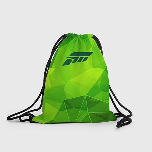 Мешок для обуви Forza Horizon green poly / 3D-принт – фото 1