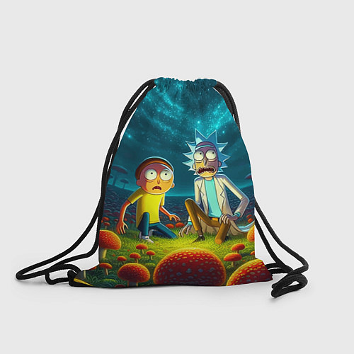 Мешок для обуви Rick and Morty on the fly agaric planet / 3D-принт – фото 1