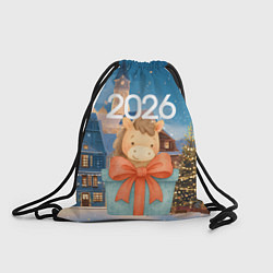 Мешок для обуви Лошадка в подарочной коробке