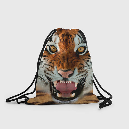 Мешок для обуви Взгляд тигра / 3D-принт – фото 1