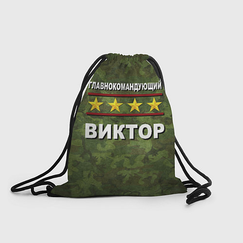 Мешок для обуви Главнокомандующий Виктор / 3D-принт – фото 1