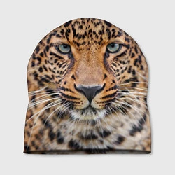 Шапка Грустный леопард, цвет: 3D-принт