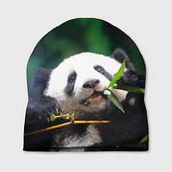 Шапка Панда на ветке