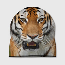 Шапка Рык тигра, цвет: 3D-принт