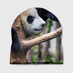 Шапка Бамбуковый медведь, цвет: 3D-принт