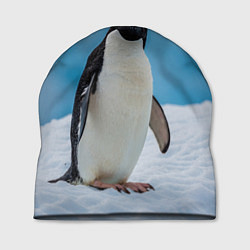 Шапка Пингвин на айсберге