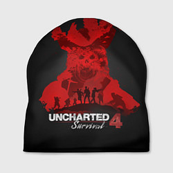 Шапка Uncharted 4: Survival