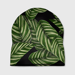Шапка Тропические большие листья, цвет: 3D-принт