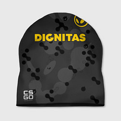 Шапка Dignitas Jersey pro 202122