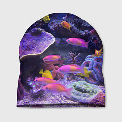 Шапка Коралловые рыбки, цвет: 3D-принт
