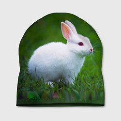 Шапка Кролик на фоне травы, цвет: 3D-принт