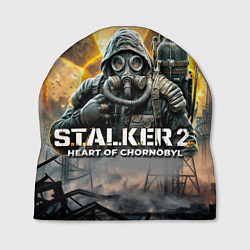 Шапка S t a l k e r Heart of Chornobyl, цвет: 3D-принт