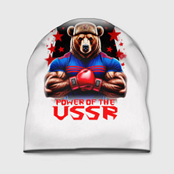 Шапка USSR медведь
