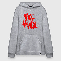 Толстовка-худи оверсайз Viva La Vida, цвет: меланж
