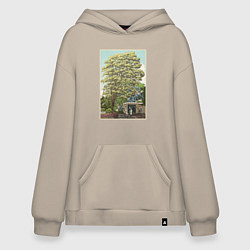 Толстовка-худи оверсайз Хаяо Миядзаки - studio ghibli, цвет: миндальный