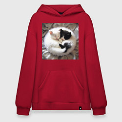 Толстовка-худи оверсайз Два любящих котика обнимаются клубочком, цвет: красный